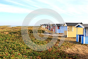 Fales in dunes of Falsterbo near Hovbacken, Sweden