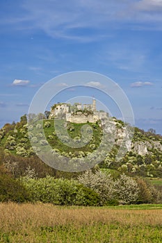 Falkenstein Castle ruins standing on blooming spring hill