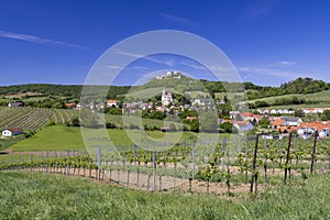 Falkenstein ruins and town with vineyard, Lower Austria, Austria