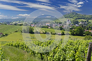 Falkenstein ruins and town with vineyard, Lower Austria, Austria