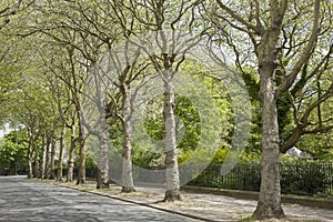 Falkner Square; Liverpool; England