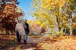 Fall activities. Senior couple walking in autumn park. Middle-aged man and woman hugging and chilling outdoors