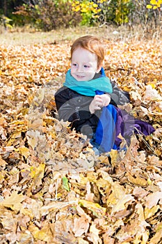 Fall. Adorable child boy with leaves in autumn park