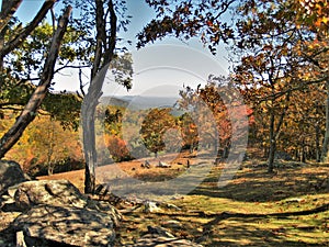 Fall along black ridge trail