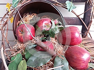 Fall Apples spilling out of an old basket