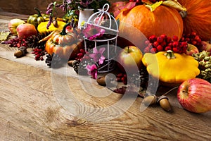 Fall arrangement with pumpkins, rowan berries, barberry, copy sp