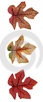 Fall: Artificial Leaves