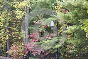 Fall in Ashville, North Carolina