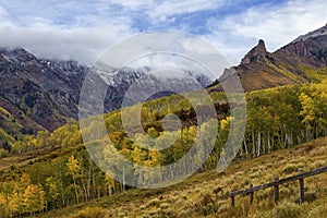 Fall Aspen Grove on a mountainside