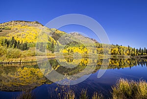 Fall Aspen tree reflection on high Rocky mountain lake
