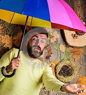 Fall atmosphere attributes. Man bearded lay on wooden background with orange leaves top view. Hipster with beard