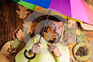 Fall atmosphere attributes. Rainy weather forecast concept. Man bearded lay on wooden background with leaves top view