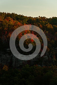 Fall / Autumn Forests - Red River Gorge Geological Area - Appalachian Mountains - Kentucky