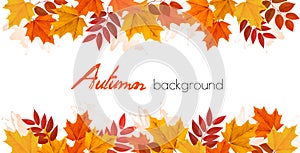 Fall Autumn Colorful Leaves Background.