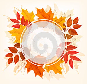 Fall Autumn Colorful Leaves Background