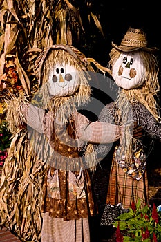 Fall or Autumn Decoration