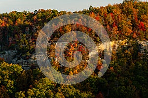 Fall / Autumn Forests - Red River Gorge Geological Area - Appalachian Mountains - Kentucky