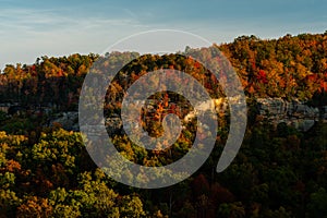 Fall / Autumn Forests - Red River Gorge Geological Area - Appalachian Mountains - Kentucky