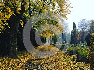 Fall autumn Grefsen churchyard autumncolors