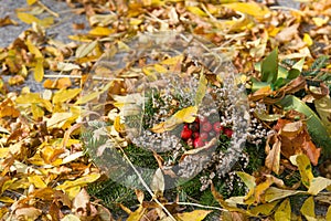 Fall autumn leaves and bouquet with mountain ash