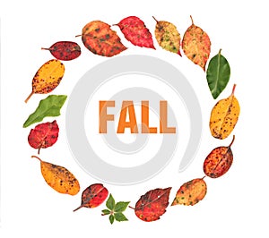 Fall - autumn leaves in a circle making a colorful wreath floral