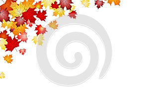 Fall, autumn leaves in corner, white background