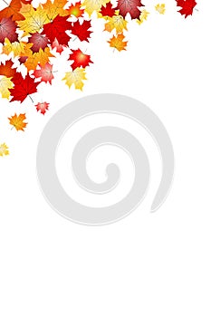 Fall, autumn leaves in corner, white background