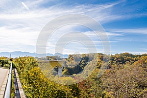 Fall Autumn leaves on trees in Japan