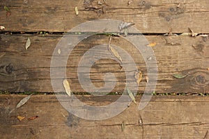 Fall autumn leaves on a wooden background