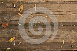 Fall autumn leaves on a wooden background