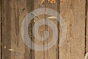 Fall autumn leaves on a wooden background