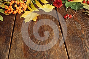 Fall autumn leaves wooden background concept