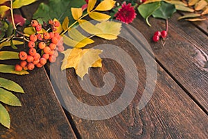 Fall autumn leaves wooden background concept