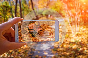 Fall,autumn photograph