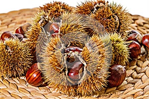Fall/Autumn Raw Food: Chestnuts