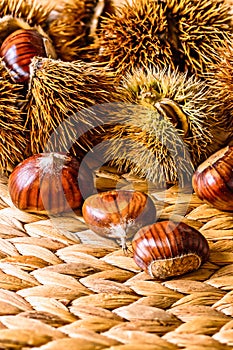 Fall/Autumn Raw Food: Chestnuts