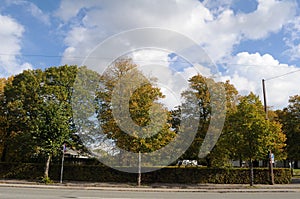 Fall or autumn seasion in Copenhagen Denmark photo