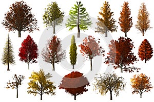 Fall autumn Tree foilage collection set isolated photo