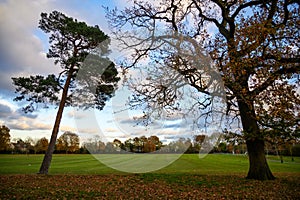 Fall autumn trees in Blake Recreation Ground in West Wickham, Kent, UK