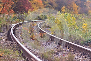 Fall autumn tunnel of love. Tunnel formed by trees and bushes along a old railway in Klevan Ukraine.