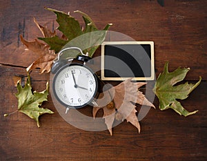 Fall Back, Daylight Saving Time. Black clock and autumn leaves on wood