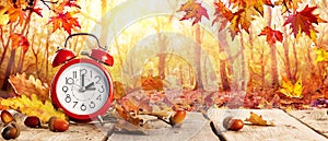 Fall Back Time - Daylight Savings End photo