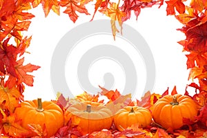 Fall Background