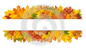 Fall background. Autumn leaves banner space for text