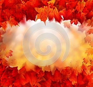 Fall Background Border with Golden Bokeh and Red Autumn Leaves