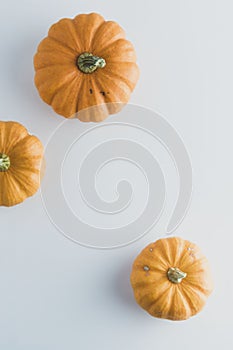 Fall background maple leaves with orange pumpkins white background with copy space, autumn