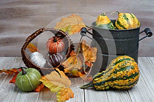 Fall background with Pumpkins