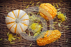 Fall background with pumpkins