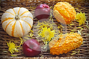 Fall background with pumpkins