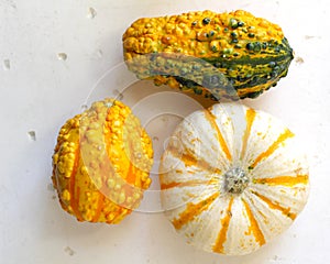 Fall background with pumpkins